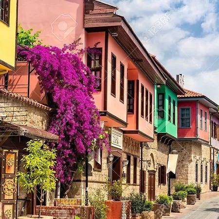 Hotel In The Middle 3*