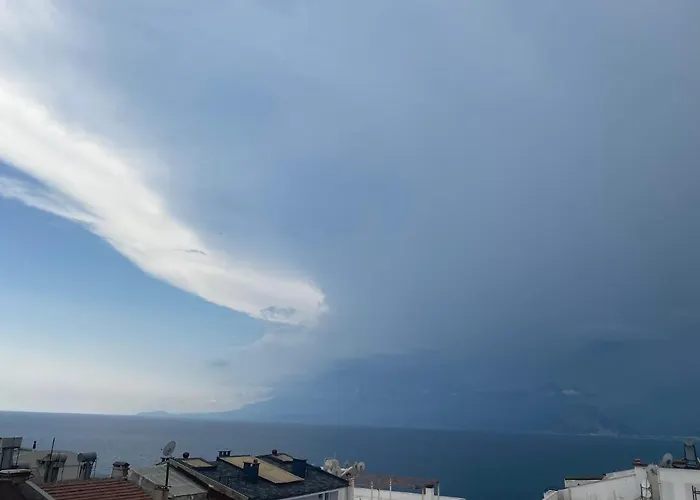 Hotel In The Middle 3*