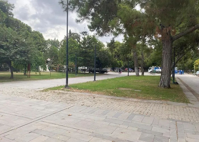 In The Middle