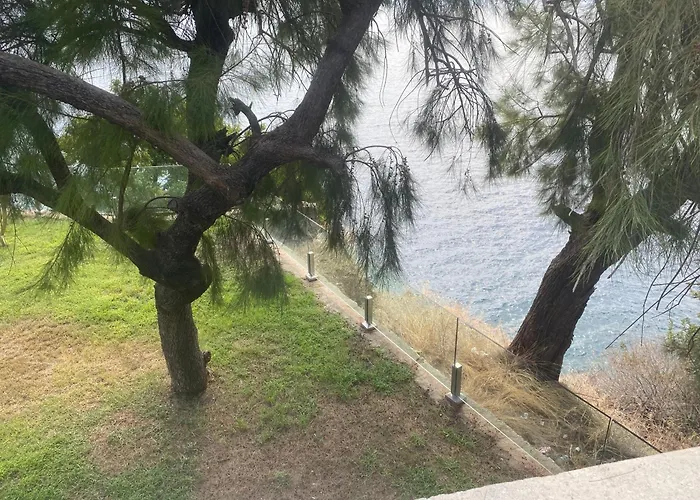 Hotel In The Middle 3*