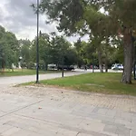 In The Middle