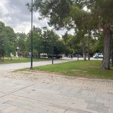 In The Middle
